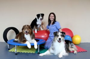 Shari with three dogs | Pawsitively Unleashed Performance Canine Rehabilitation and Conditioning
